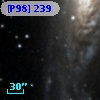 [P98] 239