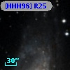 [HHH98] R25