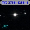 TYC 2739-1289-1
