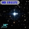 HD 191175