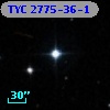 TYC 2775-36-1