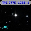 TYC 2775-1269-1