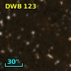DWB 123
