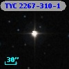 TYC 2267-310-1