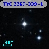 TYC 2267-339-1