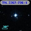 TYC 2267-736-1