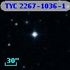 TYC 2267-1036-1