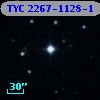 TYC 2267-1128-1