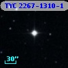 TYC 2267-1310-1