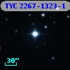 TYC 2267-1323-1