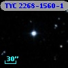 TYC 2268-1560-1