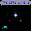 TYC 2271-1440-1