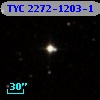 TYC 2272-1203-1