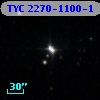 TYC 2270-1100-1