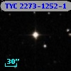 TYC 2273-1252-1