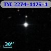 TYC 2274-1175-1