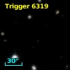Trigger  6319