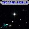 TYC 2285-1230-1