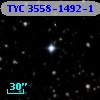 TYC 3558-1492-1