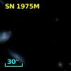 SN 1975M
