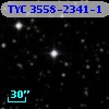 TYC 3558-2341-1