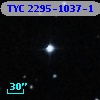 TYC 2295-1037-1