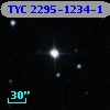 TYC 2295-1234-1