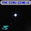 TYC 2295-1246-1