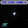TYC 2295-1300-1