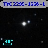 TYC 2295-1558-1