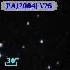 [PAJ2004] V28