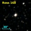 Ross  168