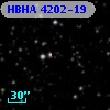HBHA 4202-19