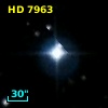 HD   7963