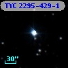 TYC 2295-429-1