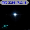 TYC 2295-712-1