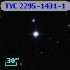TYC 2295-1431-1
