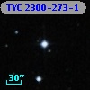TYC 2300-273-1