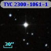 TYC 2300-1061-1