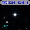 TYC 2297-1247-1
