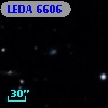 LEDA    6606