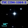 TYC 2294-1164-1