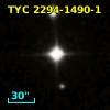 TYC 2294-1490-1
