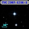 TYC 2307-1216-1