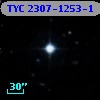 TYC 2307-1253-1