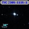 TYC 2308-1118-1