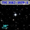 TYC 3562-1879-1