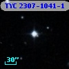 TYC 2307-1041-1