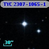 TYC 2307-1065-1