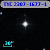 TYC 2307-1677-1